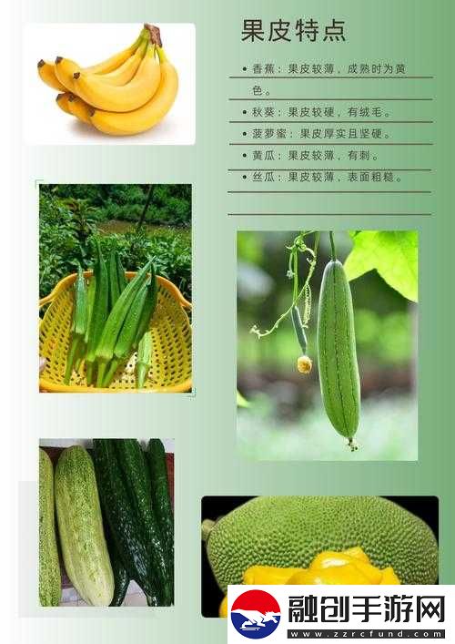 絲瓜秋葵草莓香蕉榴蓮綠大全